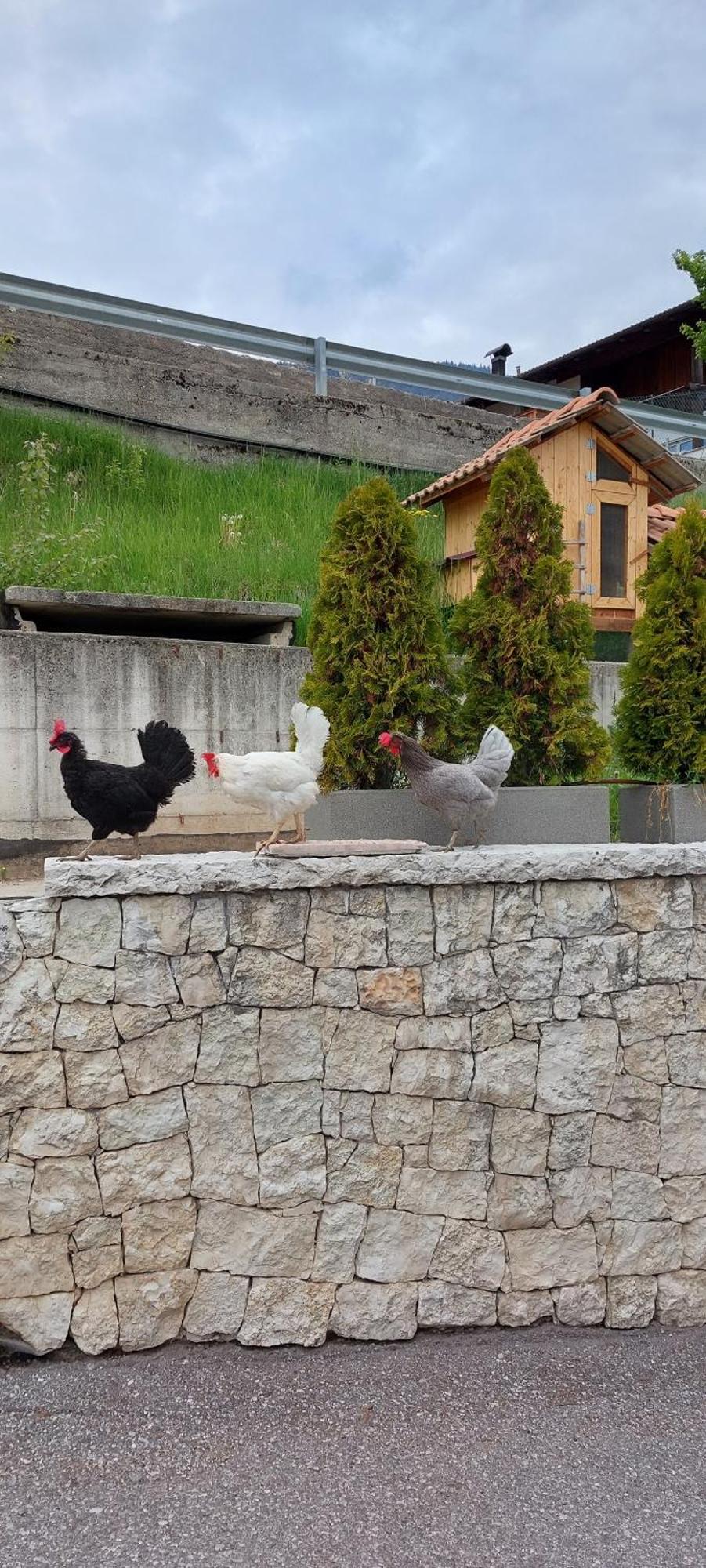 Horse House Bed & Breakfast Romallo ภายนอก รูปภาพ
